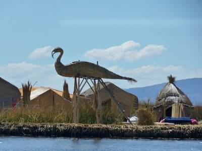 Rush lake titicaca peru photo