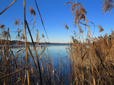 Autumn nature rest photo