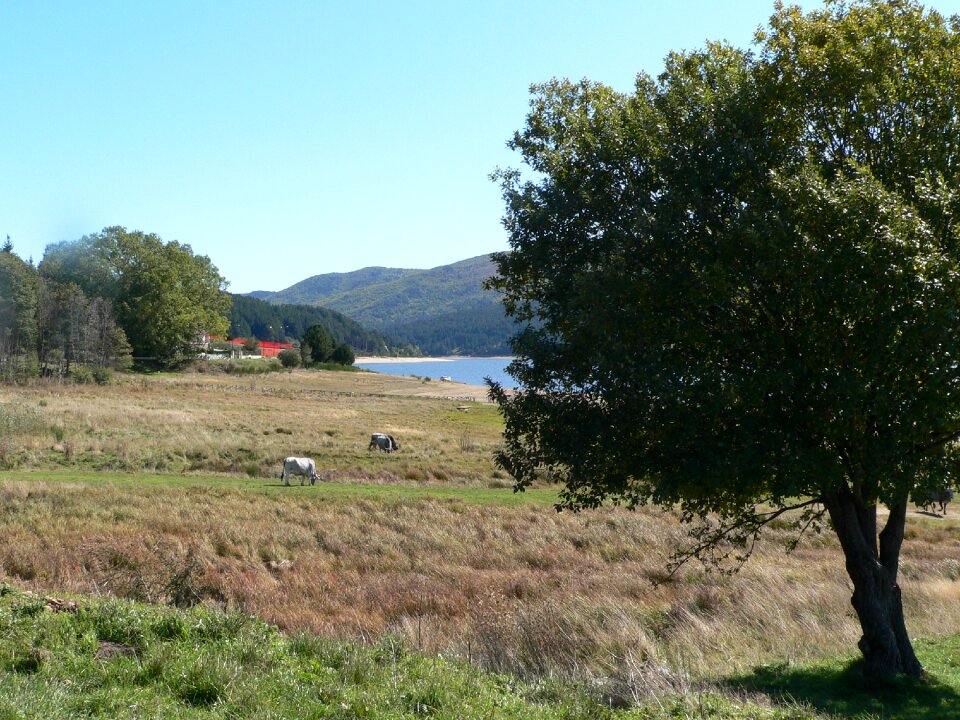 National park italy nature