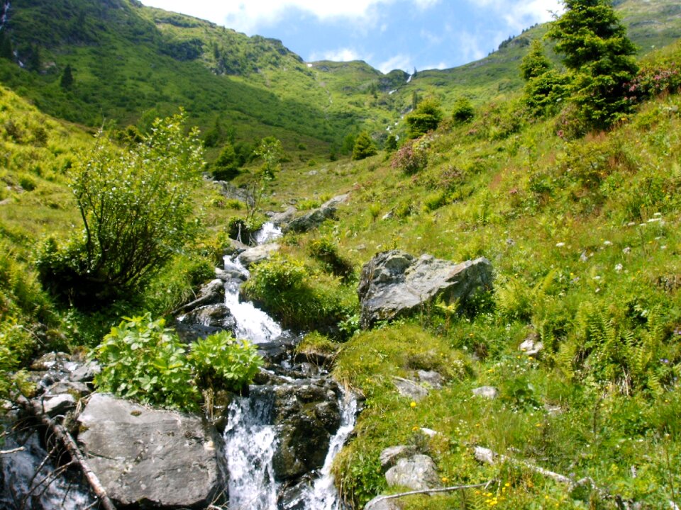 Alpine alpine walk nature