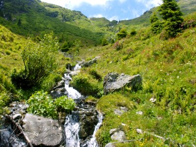 Alpine alpine walk nature photo