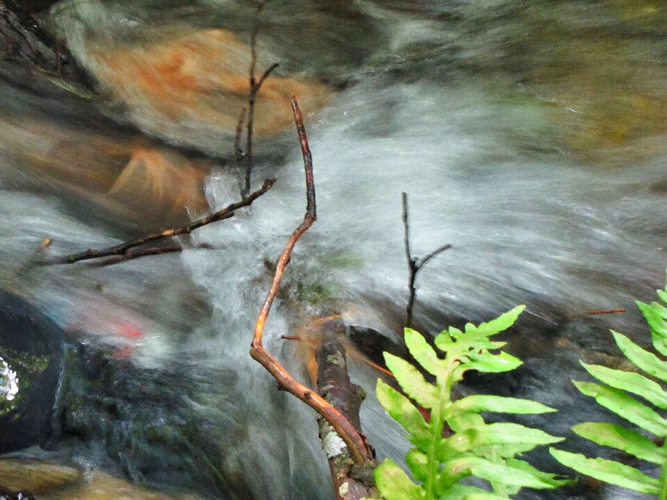 Stream nature blur