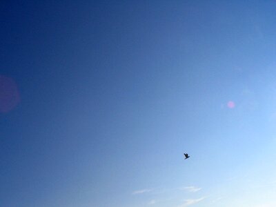 Blue view clouds