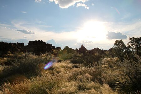 Veld namibia desert photo
