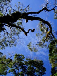 Blue perspective abstract photo