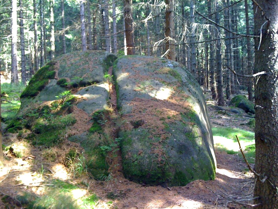 Boulder schierke wood stone