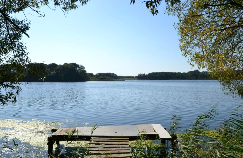 Nature summer ivenack
