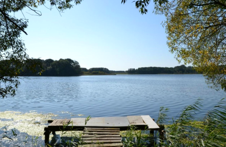 Nature summer ivenack