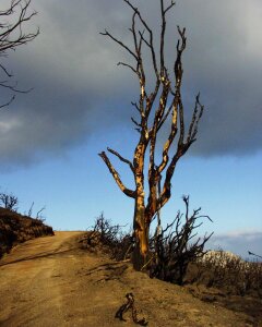 Sky weather fire