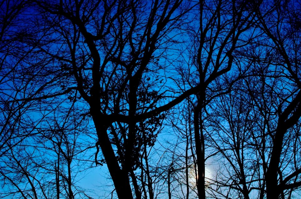 Sunset blue black