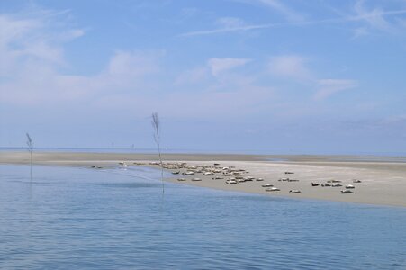 North sea nordfriesland wadden sea