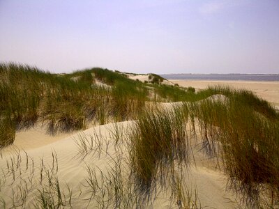 Denmark beach sea