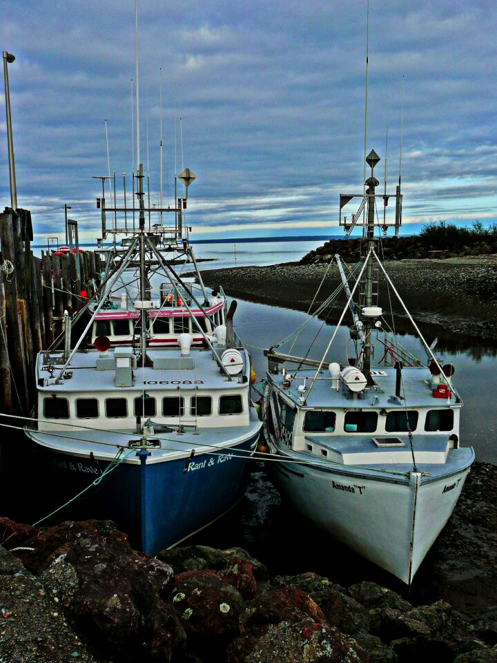 Shoreline lobster dusk