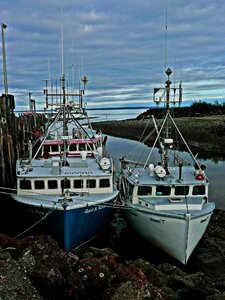 Shoreline lobster dusk