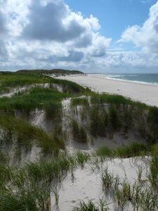 Dunes sylt beach photo