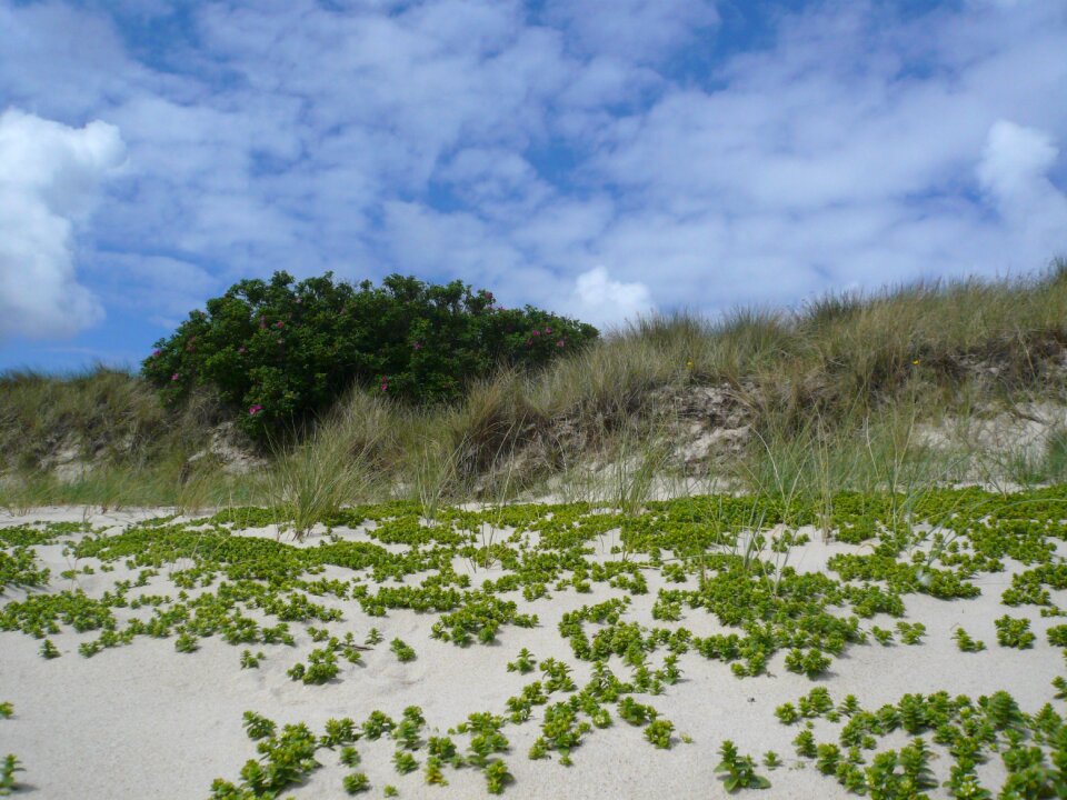 Beach sylt north sea