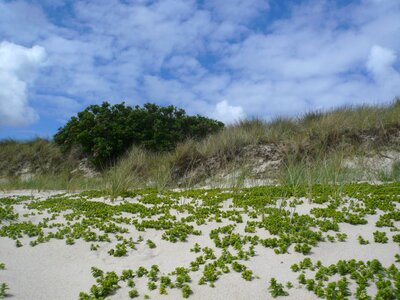 Beach sylt north sea photo