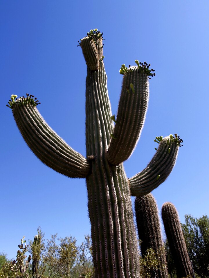 Blue sky nature