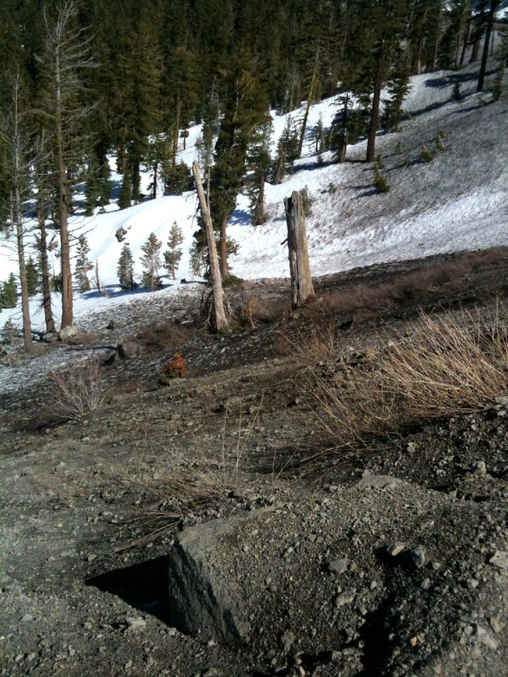 Trees mountains cold