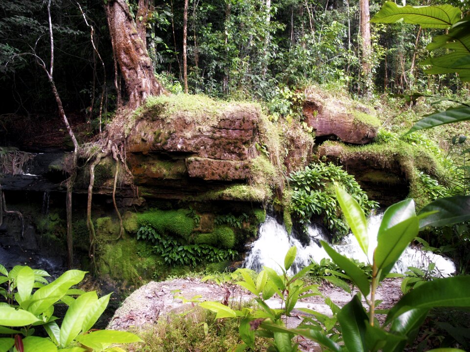 Nature water waterfall