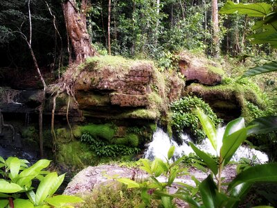 Nature water waterfall