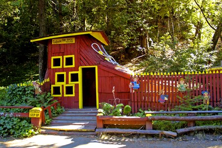 Tourist attraction redwoods forest