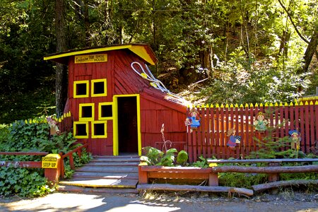 Tourist attraction redwoods forest photo