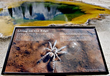 Water yellowstone national park wyoming photo