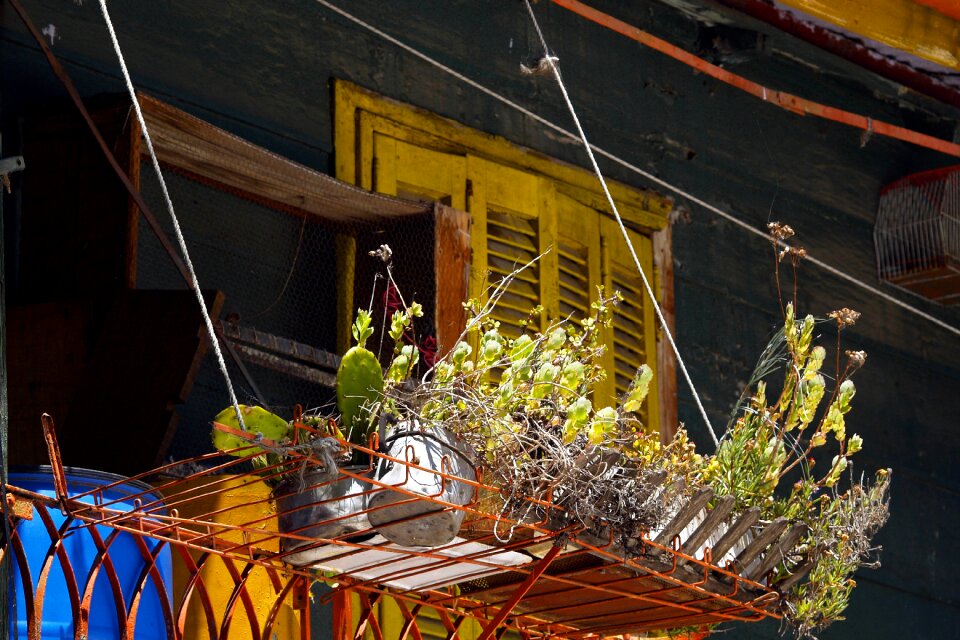Building wooden colorful