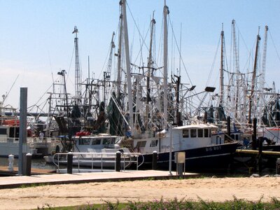 Coast ms beach