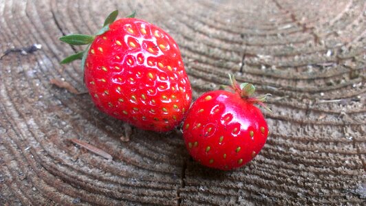 Red food vitamins