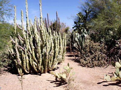 Hot dry nature