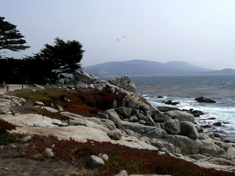 Shoreline nature scenery
