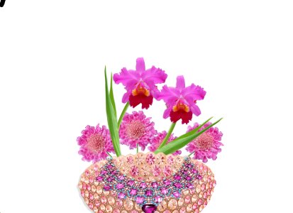 Orquideas pink paste