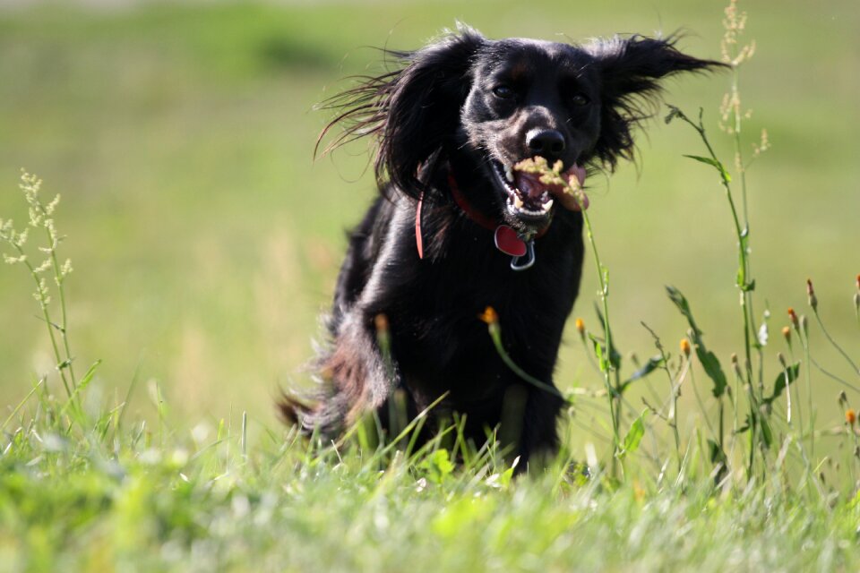Jogging grass spacer