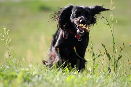 Jogging grass spacer