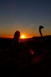 Africa namibia backlighting