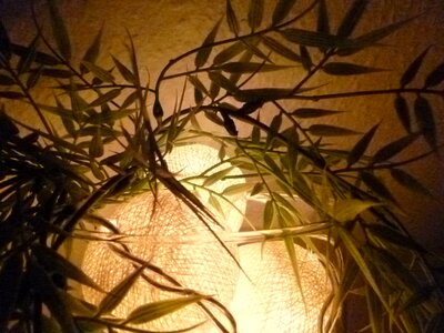 Light decoration lighting