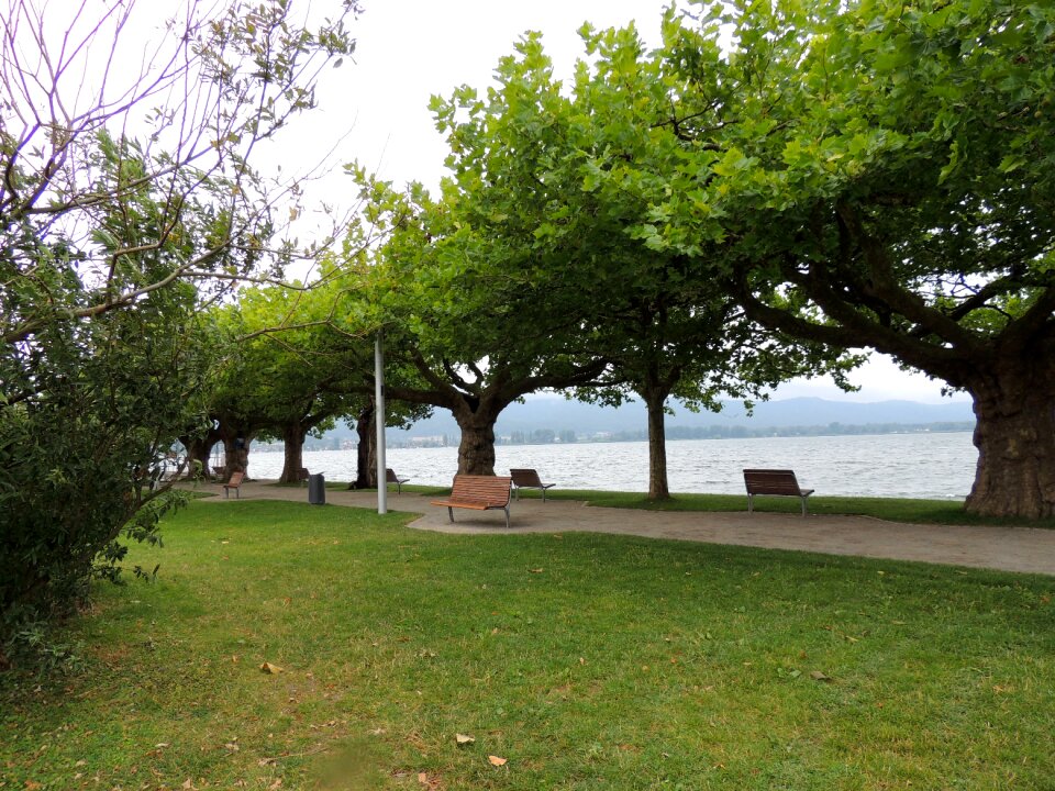 Lake lake constance germany