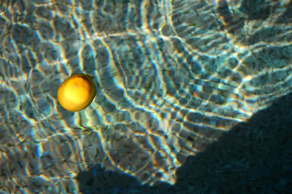 Lemon water float