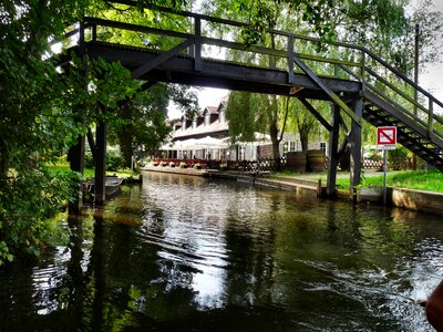 Boat nature bridges photo
