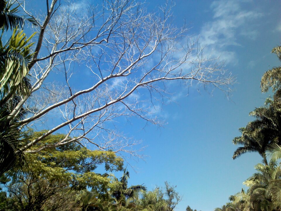 Clouds landscape sky