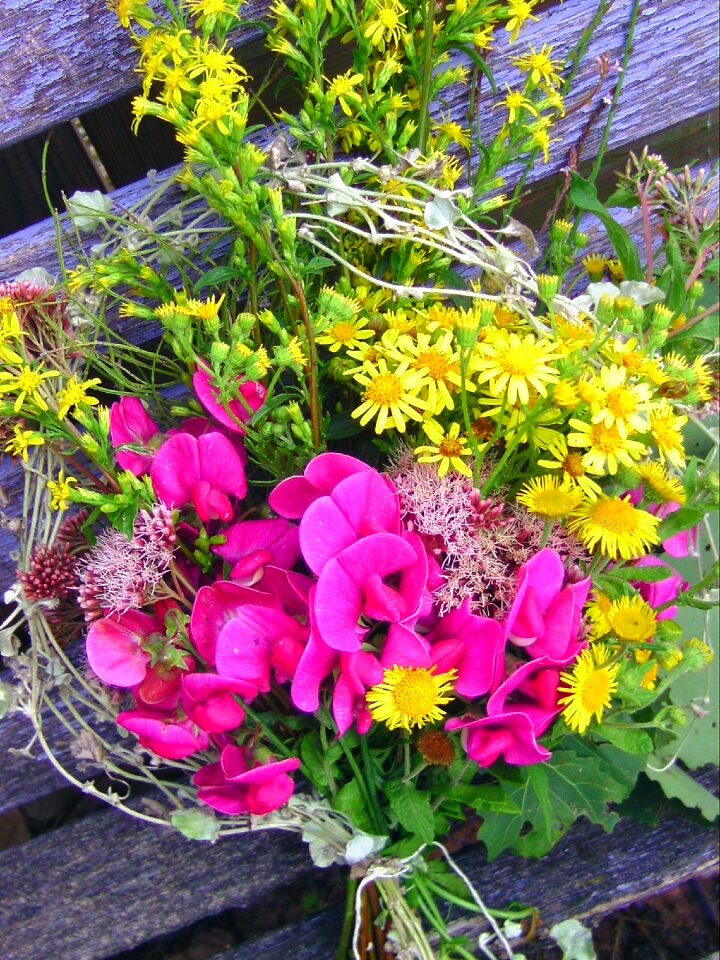 Yellow pink light blue