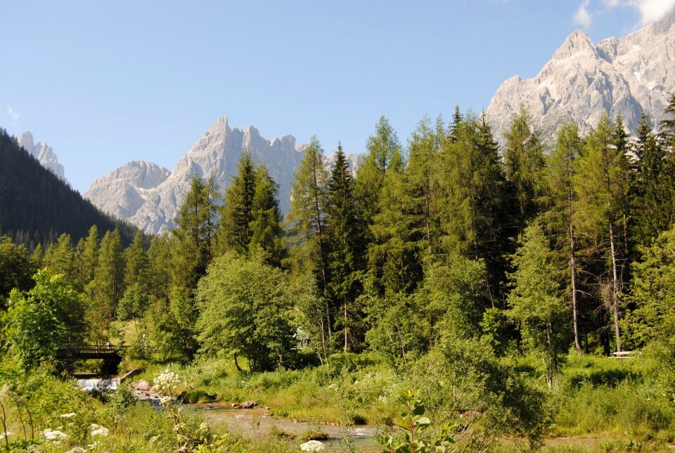 Trees dolomiti di sesto hiking