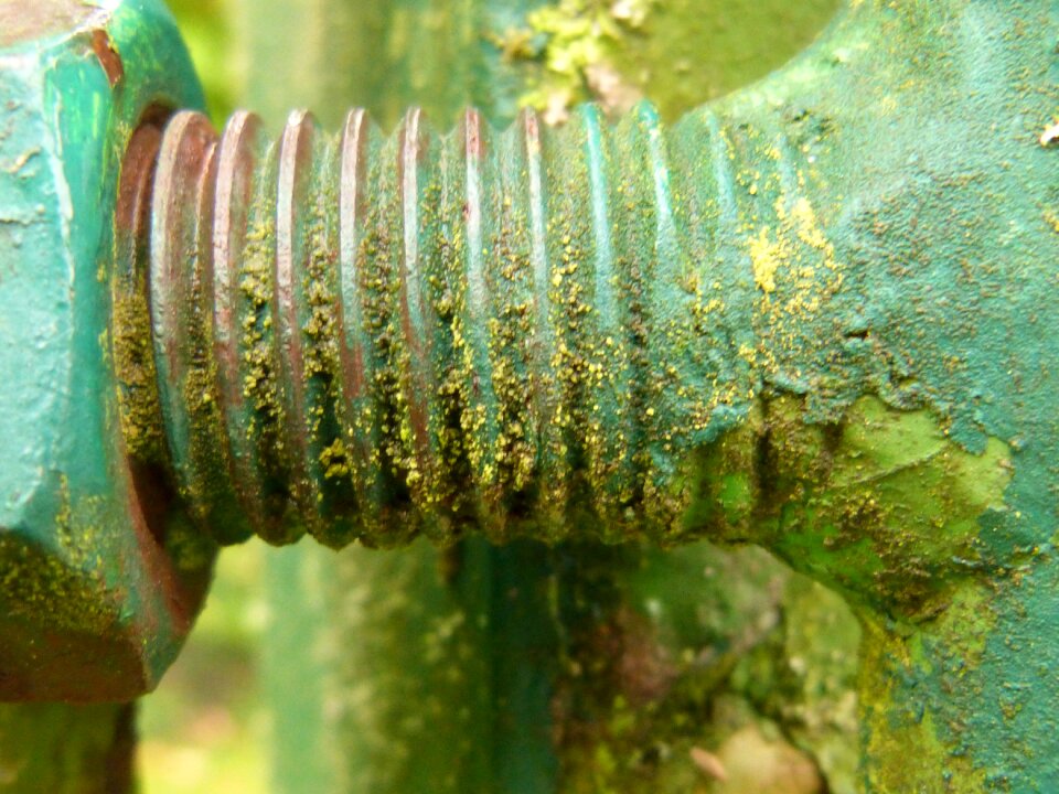 Weathered old screw