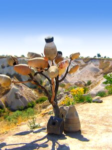 Trees elements drought