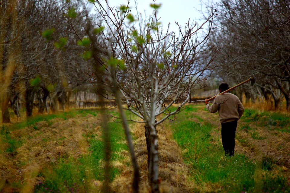Worker field agriculture