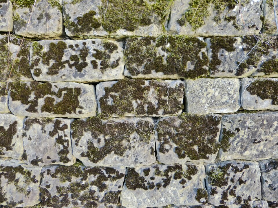 Old garden weathered