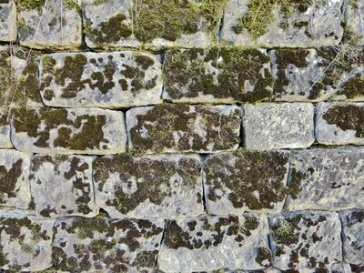 Old garden weathered