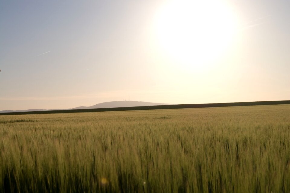 Field agriculture rhineland palatinate